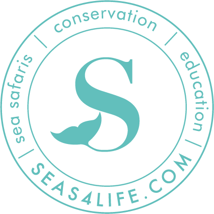 Seas 4 Life