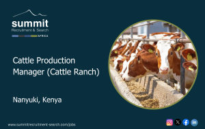 Jobs in Kenya, Latest jobs in Kenya, Top jobs in Kenya, High-paying jobs in Kenya, Remote jobs in Kenya, Part-time jobs in Kenya, Full-time jobs in Kenya, Entry-level jobs in Kenya, Mid-level jobs in Kenya, Senior-level jobs in Kenya, Jobs in Nairobi, Jobs in Mombasa, Jobs in Kisumu, Jobs in Eldoret, Jobs in Nakuru, Recruitment Companies in Kenya, Recruitment Companies in East Africa, Recruitment Companies in Africa, Recruitment Agencies in Kenya, Recruitment Agencies in East Africa, Recruitment Agencies in Africa, Executive Search in Kenya, Executive Search in East Africa, Executive Search in Africa, Executive Search Companies in Kenya, Executive Search Companies in East Africa, Executive Search Companies in Africa,Jobs in Kenya, Latest jobs in Kenya, Top jobs in Kenya, High-paying jobs in Kenya, Remote jobs in Kenya, Part-time jobs in Kenya, Full-time jobs in Kenya, Entry-level jobs in Kenya, Mid-level jobs in Kenya, Senior-level jobs in Kenya, Jobs in Nairobi, Jobs in Mombasa, Jobs in Kisumu, Jobs in Eldoret, Jobs in Nakuru, Recruitment Companies in Kenya, Recruitment Companies in East Africa, Recruitment Companies in Africa, Recruitment Agencies in Kenya, Recruitment Agencies in East Africa, Recruitment Agencies in Africa, Executive Search in Kenya, Executive Search in East Africa, Executive Search in Africa, Executive Search Companies in Kenya, Executive Search Companies in East Africa, Executive Search Companies in Africa